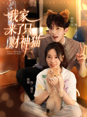 我家来了只财神猫（80集）最新热播短剧