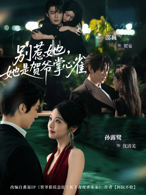 别惹她，她是贺爷掌心雀（69集）女主角是谁