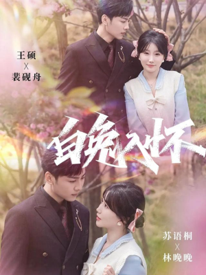 白兔入怀(60集) 白兔入怀(60集)夸克在线观看