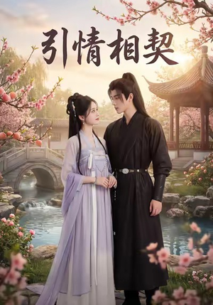 引情相契（14集）最新火爆短剧