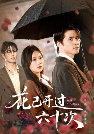 情敌交手她选择躺赢（72集）全剧免费观看