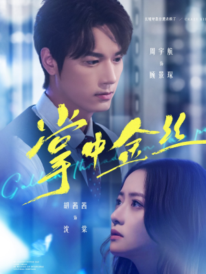 长姐她竟是隐藏大佬（60集）好看短剧抢先看