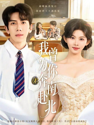 我曾为你奔南赴北（60集）高分佳作免费看