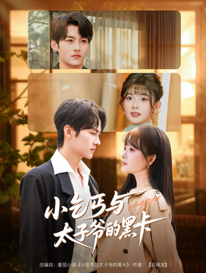 小乞丐与太子爷的黑卡(60集) 小乞丐与太子爷的黑卡(60集)迅雷网盘观看