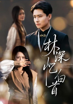 林深忆白首（60集）百度网盘在线看