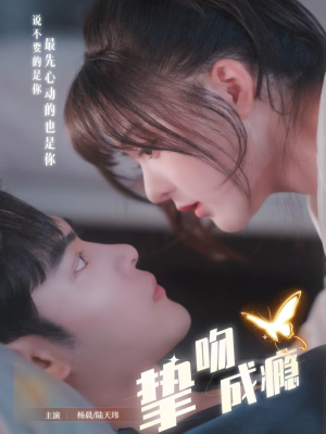 挚吻成瘾（65集）第一季