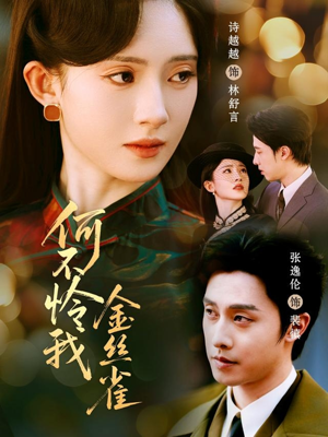 何不怜我金丝雀（60集）经典回顾免费看