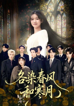 尘埃里的真千金（67集）热门短剧追到爽