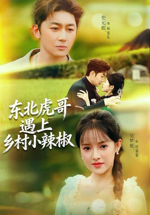 东北虎哥遇上乡村小辣椒（67集）短剧上头又好看