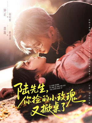 陆先生，你捡的小玫瑰又掀桌了（74集）口碑之选免费看