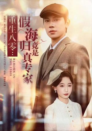 重生八零:假海归竟是真专家(65集) 重生八零:假海归竟是真专家(65集)在线看免费版