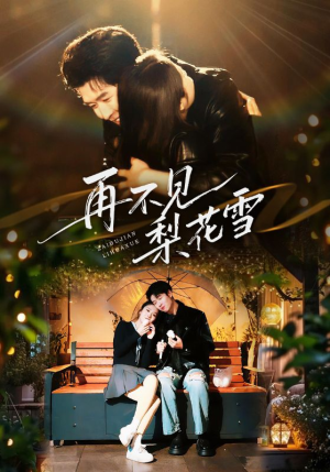 再不见梨花雪（70集）精彩短剧追不停