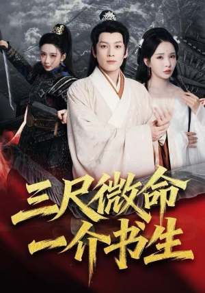 三尺微命一介书生（70集）演的怎么样