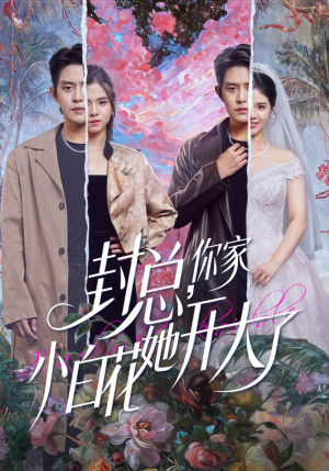 封总,你家小白花她开大了(60集) 封总,你家小白花她开大了(60集)第一季