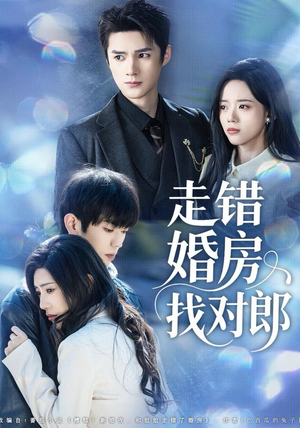 走错婚房找对郎（50集）古装热门短剧