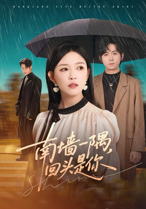 南墙一隅，回头是你（61集）番茄短剧看全集