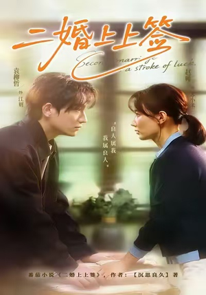 二婚上上签(71集) 二婚上上签(71集)大结局完美收官