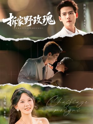 拆家野玫瑰（80集）短剧在线观看