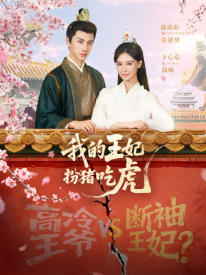 我的王妃扮猪吃虎(79集) 我的王妃扮猪吃虎(79集)看到了大结局