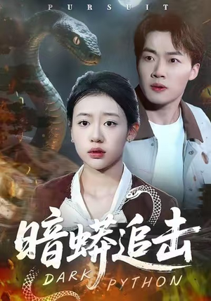 暗蟒追击（35集）短剧推荐更新中