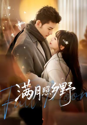 满月照乡野（70集）火爆短剧推荐