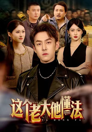 这个老大他懂法（100集）火爆热门短剧