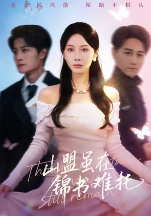 山盟虽在锦书难托（60集）我真的爱了