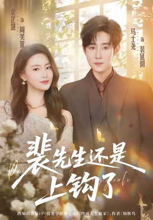 裴先生还是上钩了（62集）热播短剧来袭