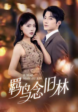 羁鸟念旧林（60集）短剧解说热门