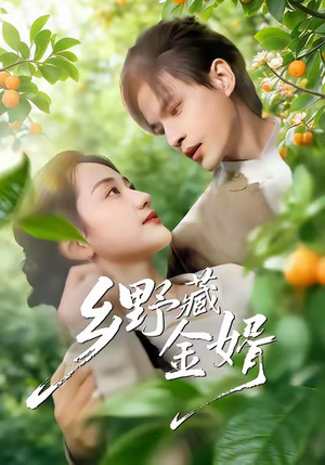 乡野藏金婿（50集）评价怎么样