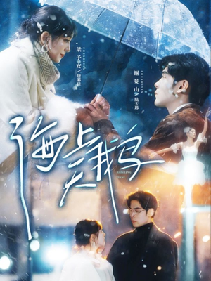 海上天鹅（70集）精彩短剧随心推