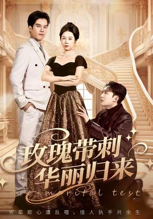 婚前测试他不配（83集）一口气追完全集