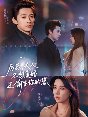 厉总,夫人不想复婚还偷生你的崽(80集) 厉总,夫人不想复婚还偷生你的崽(80集)女频短剧推荐