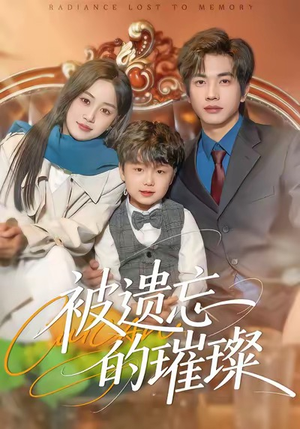 被遗忘的璀璨（80集）看到了大结局