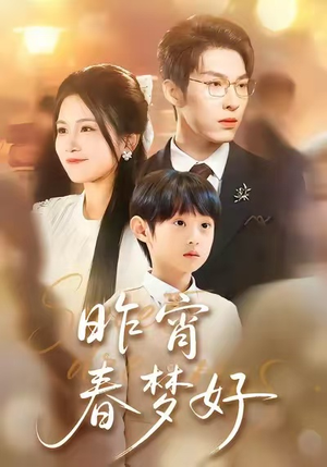 昨宵春梦好（90集）解说