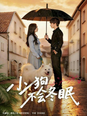 小狗不会冬眠(70集) 小狗不会冬眠(70集)免费看短剧全集