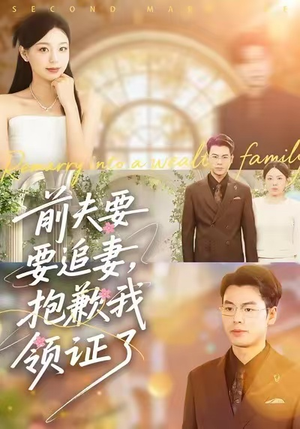 前夫要追妻，抱歉我领证了（81集）免费短剧资源