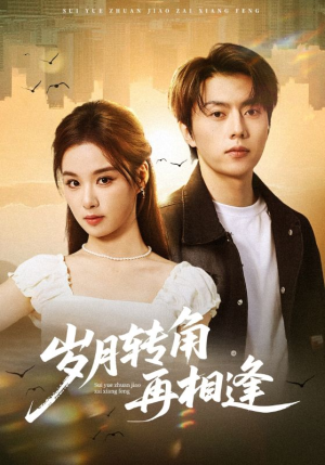 岁月转角再相逢(80集) 岁月转角再相逢(80集)推荐好短剧