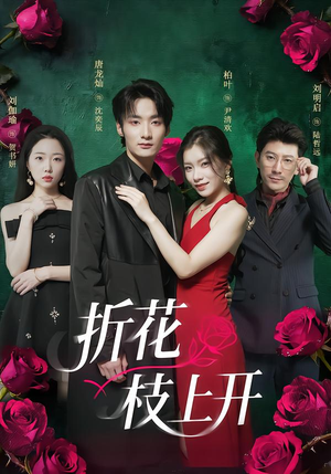 折花枝上开（51集）分享好看的短剧