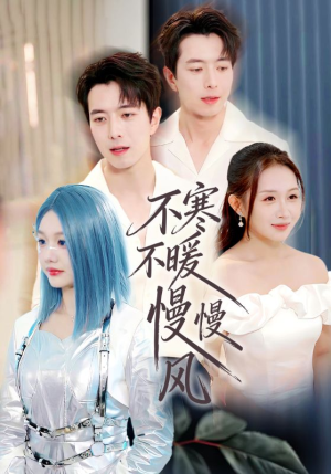 不寒不暖慢慢风（70集）红果短剧看全集