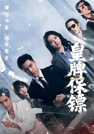皇牌保镖（66集）免费在线看