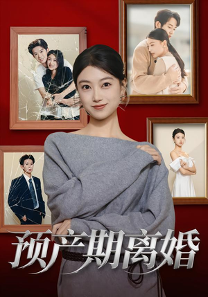 预产期离婚（72集）口碑爆棚免费看