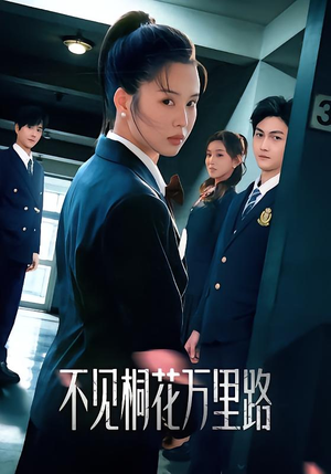 不见桐花万里路(71集) 不见桐花万里路(71集)第一季