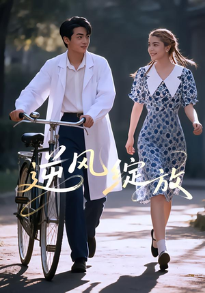 逆风绽放(55集) 逆风绽放(55集)精彩短剧合集