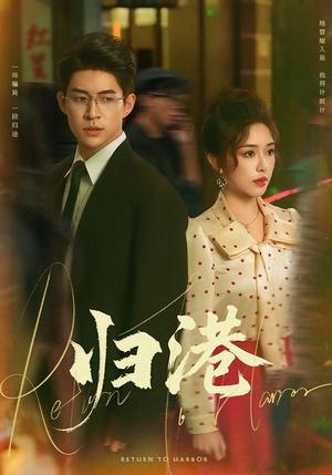 归港（63集）短剧热门分享