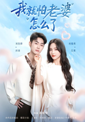 我就怕老婆怎么了(88集) 我就怕老婆怎么了(88集)热播短剧免费看