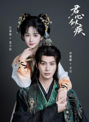 君心似疾（80集）在线看完整版