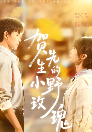 贺先生的小野玫瑰（99集）哪个短剧网能看