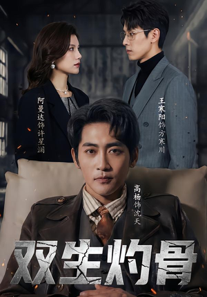 双生灼骨(60集) 双生灼骨(60集)简直不要太好看