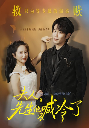 夫人，先生他又喊冷了（60集）独家资源免费看